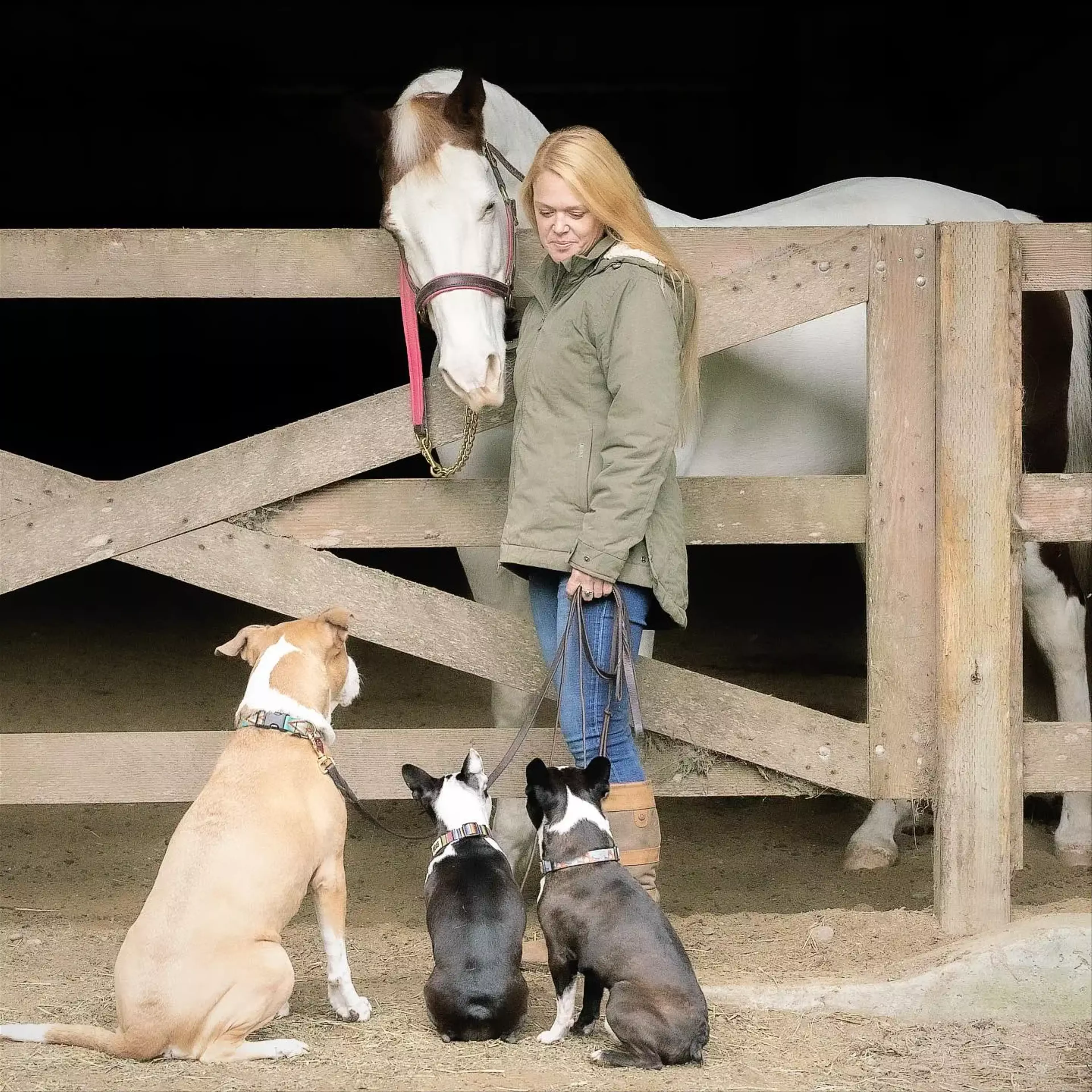 Janna with her pets, Levi, Rose, Daisy, and Bling the horse.