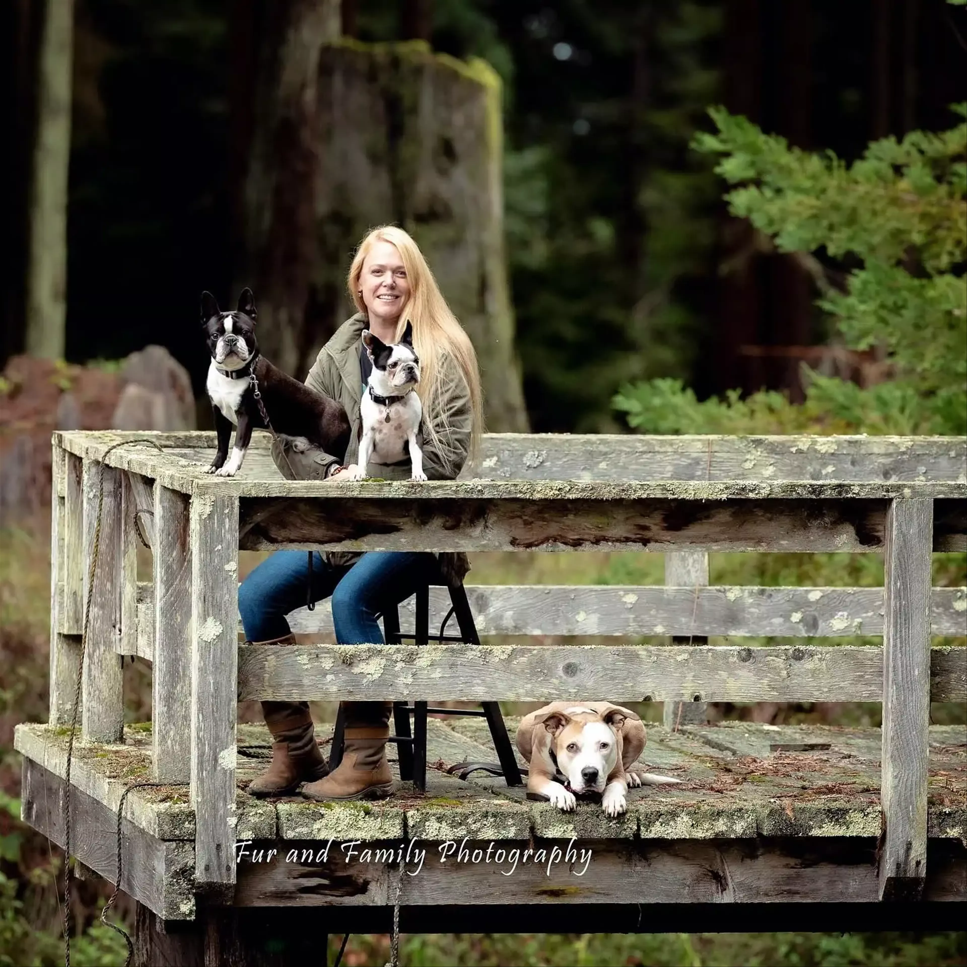 Janna with her pets, Levi, Rose, Daisy, and Bling the horse.